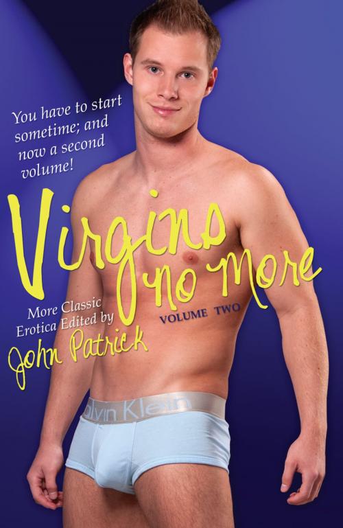 Cover of the book Virgins No More Volume 2 by , STARbooks Press