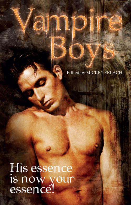 Cover of the book Vampire Boys by , STARbooks Press