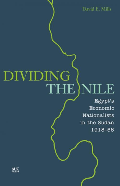 Cover of the book Dividing the Nile by David E. Mills, The American University in Cairo Press