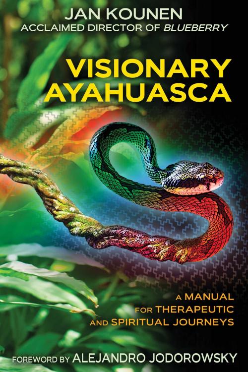 Cover of the book Visionary Ayahuasca by Jan Kounen, Inner Traditions/Bear & Company