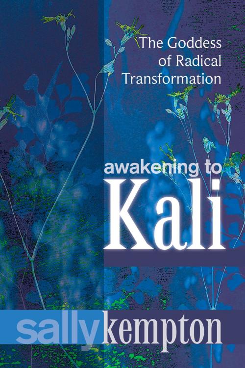 Cover of the book Awakening to Kali by Sally Kempton, Sounds True