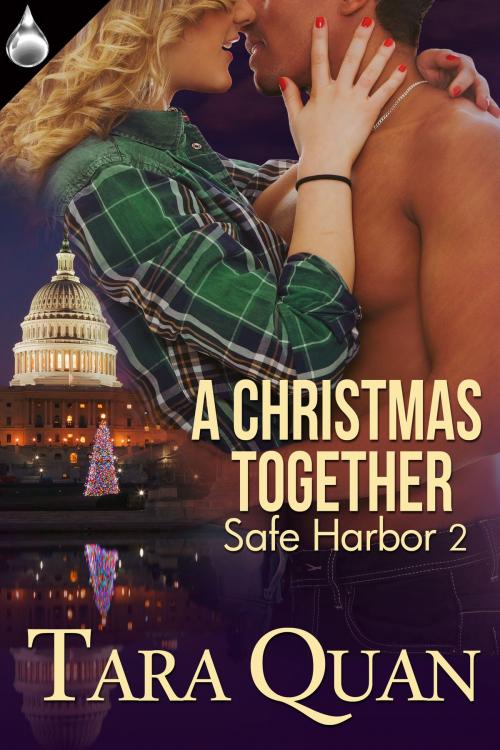 Cover of the book A Christmas Together by Tara Quan, Liquid Silver Books