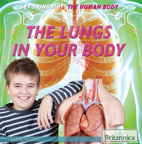 Cover of the book The Lungs in Your Body by Heather Moore Niver, Britannica Educational Publishing