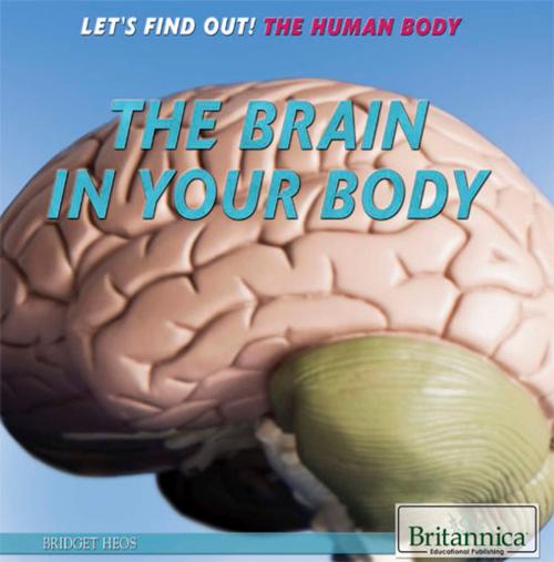 Cover of the book The Brain in Your Body by Jacob Steinberg, Britannica Educational Publishing