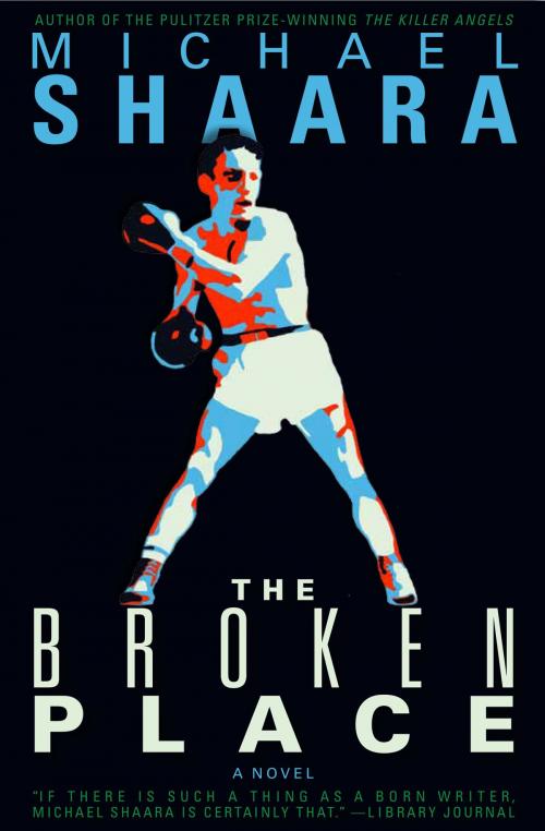 Cover of the book The Broken Place by Michael Shaara, Antenna Books
