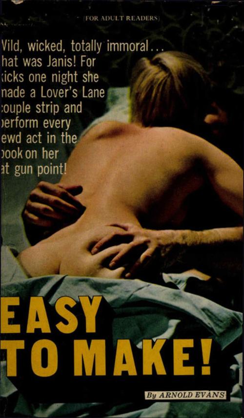 Cover of the book Easy to Make by Arnold Evans, Disruptive Publishing