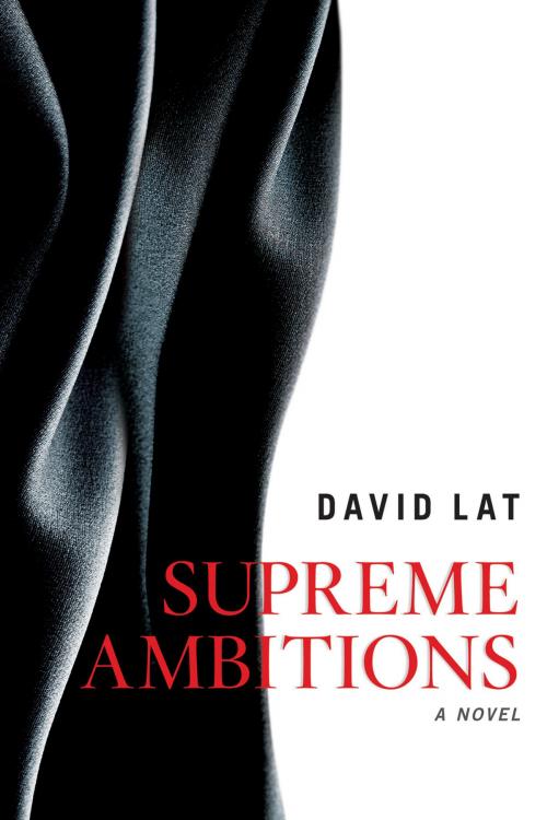 Cover of the book Supreme Ambitions by David Lat, American Bar Association