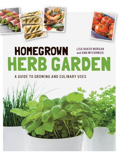 Cover of the book Homegrown Herb Garden by Lisa Baker Morgan, Ann McCormick, Quarry Books
