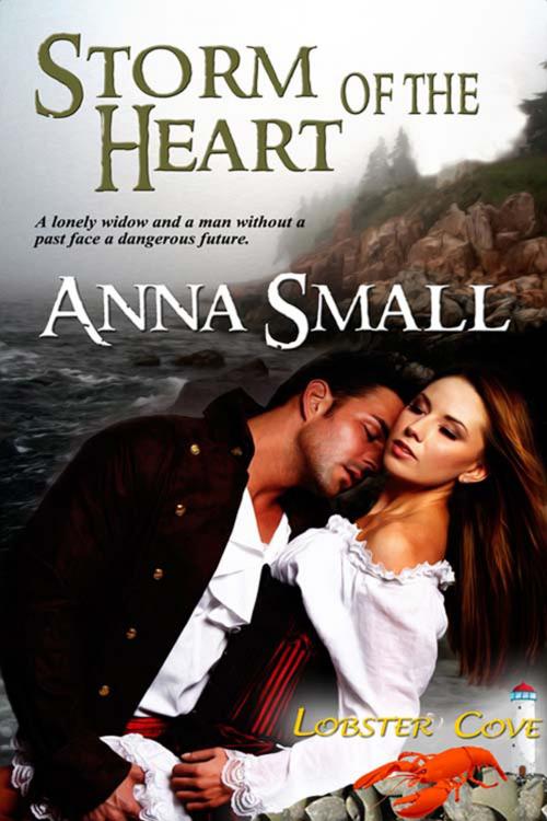 Cover of the book Storm of the Heart by Anna  Small, The Wild Rose Press, Inc.