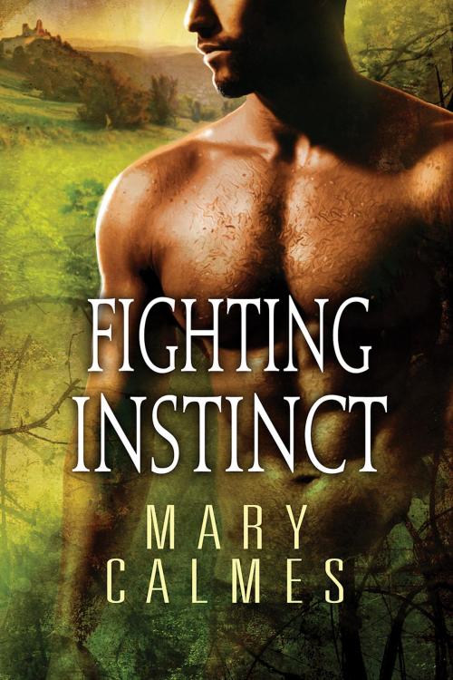 Cover of the book Fighting Instinct by Mary Calmes, Dreamspinner Press