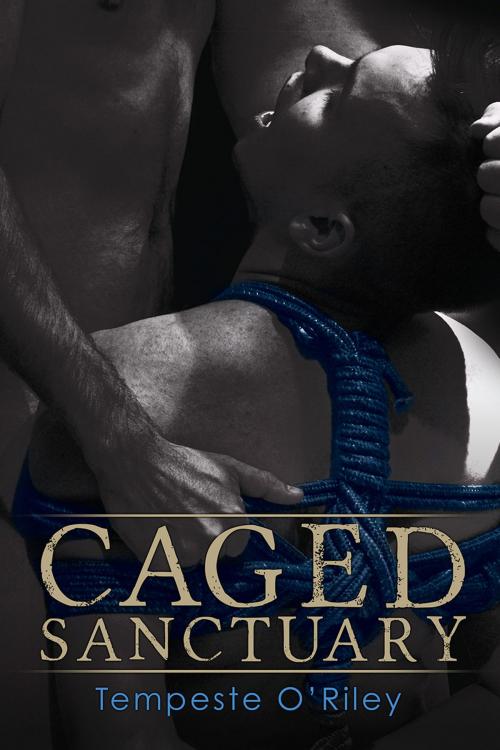 Cover of the book Caged Sanctuary by Tempeste O'Riley, Dreamspinner Press