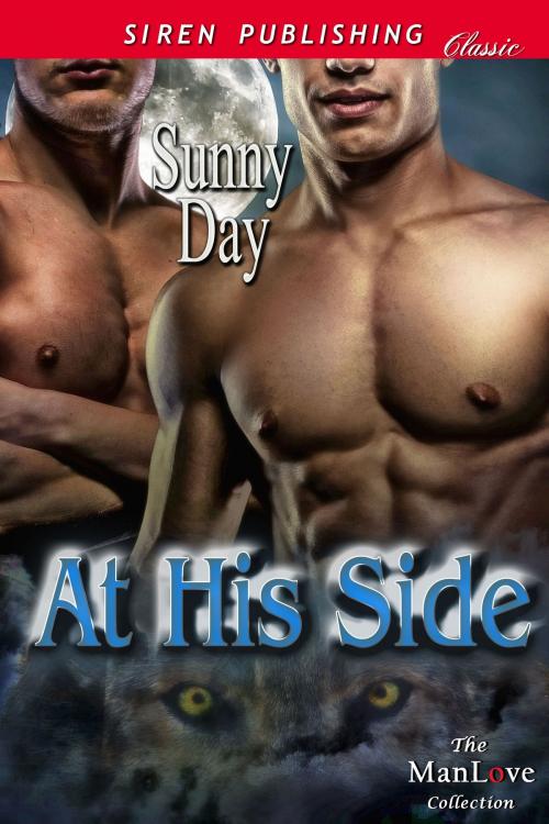 Cover of the book At His Side by Sunny Day, Siren-BookStrand