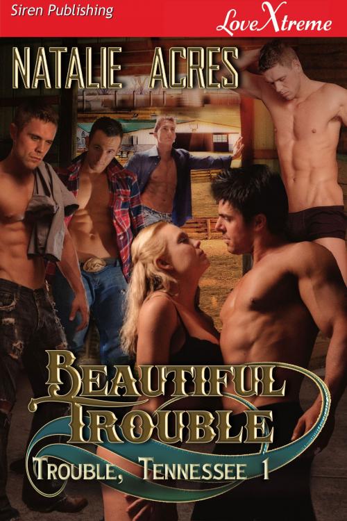 Cover of the book Beautiful Trouble by Natalie Acres, Siren-BookStrand