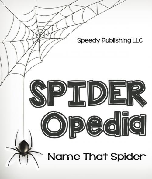 Cover of the book Spider-Opedia Name That Spider by Speedy Publishing, Speedy Publishing LLC