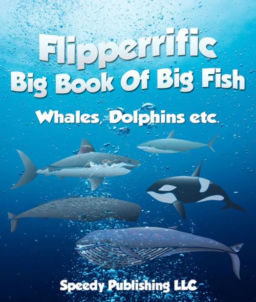 Cover of the book Flipperrific Big Book Of Big Fish (Whales, Dolphins etc) by Speedy Publishing, Speedy Publishing LLC