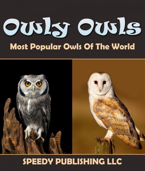 Cover of the book Owly Owls Most Popular Owls Of The World by Speedy Publishing, Speedy Publishing LLC