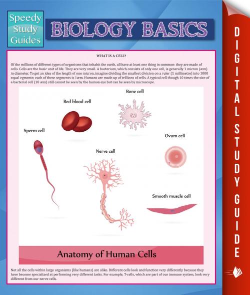Cover of the book Biology Basics (Speedy Study Guide) by Speedy Publishing, Speedy Publishing LLC