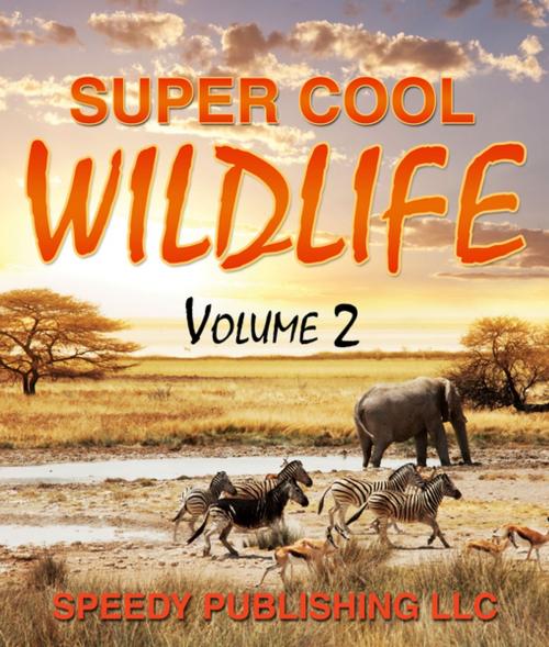 Cover of the book Super Cool Wildlife Volume 2 by Speedy Publishing, Speedy Publishing LLC
