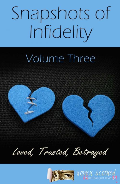 Cover of the book Snapshots of Infidelity by Women Scorned, Accent Press