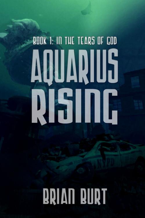 Cover of the book Aquarius Rising by Brian Burt, Double Dragon Publishing