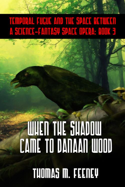 Cover of the book When The Shadow Came To Danaan Wood by Thomas M. Feeney, Double Dragon Publishing