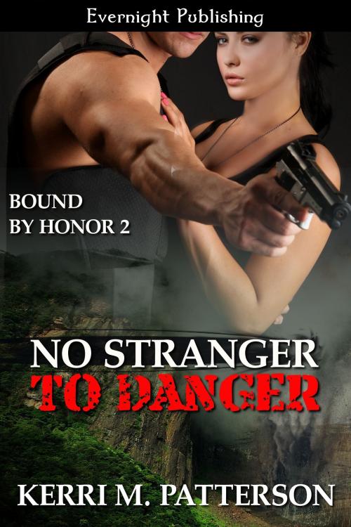 Cover of the book No Stranger to Danger by Kerri M. Patterson, Evernight Publishing