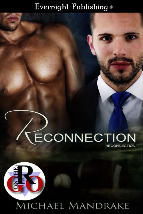 Cover of the book Reconnection by Michael Mandrake, Evernight Publishing