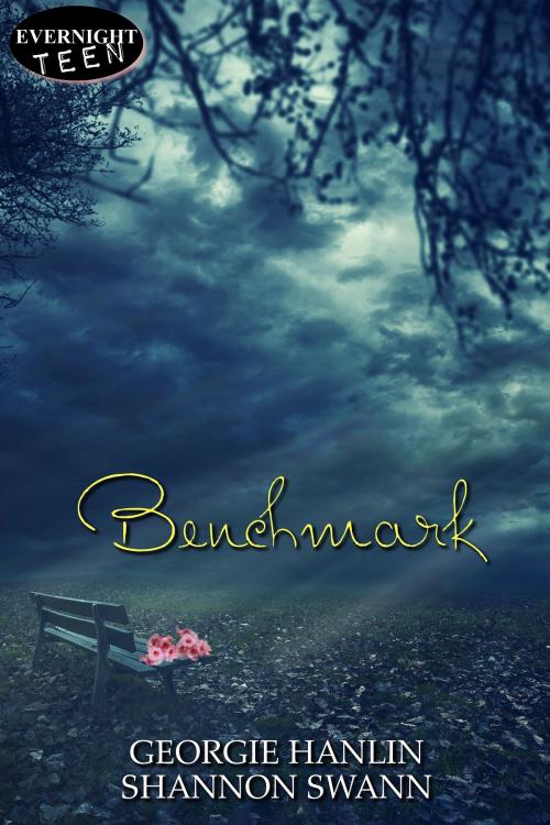 Cover of the book Benchmark by Georgie Hanlin, Shannon Swann, Evernight Teen