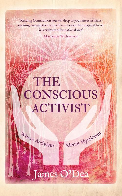 Cover of the book The Conscious Activist by James O'Dea, Watkins Media