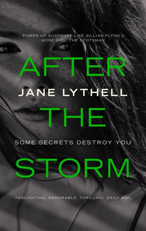Cover of the book After the Storm by Jane Lythell, Head of Zeus