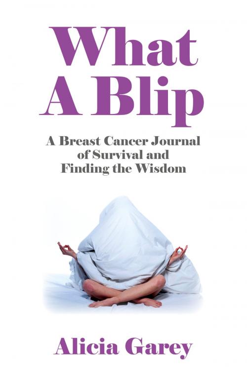 Cover of the book What A Blip by Alicia Garey, John Hunt Publishing