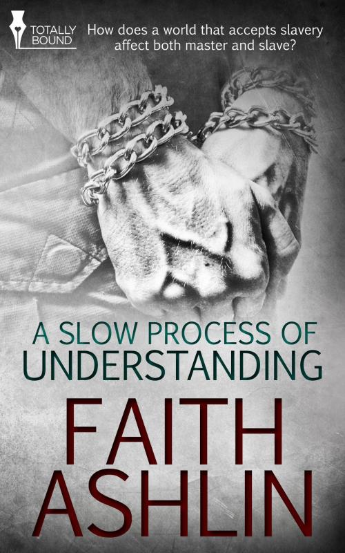 Cover of the book A Slow Process of Understanding by Faith Ashlin, Totally Entwined Group Ltd