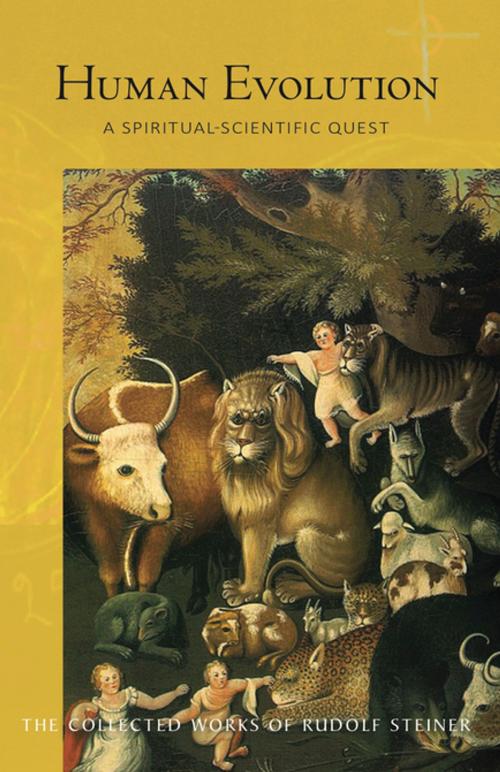 Cover of the book Human Evolution by Rudolf Steiner, Rudolf Steiner Press