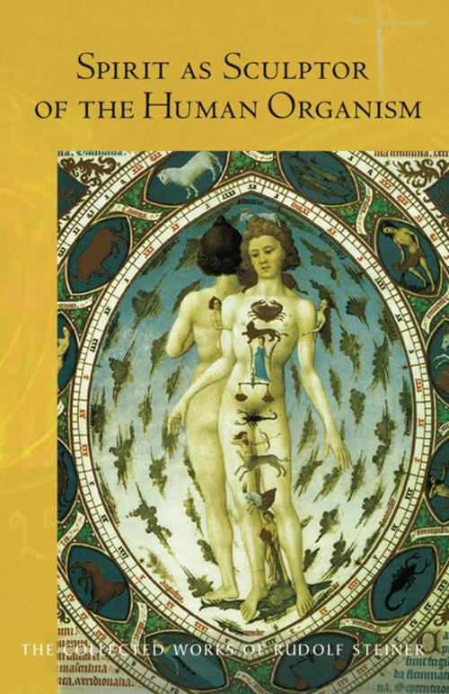 Cover of the book Spirit as Sculptor of the Human Organism by Rudolf Steiner, Rudolf Steiner Press