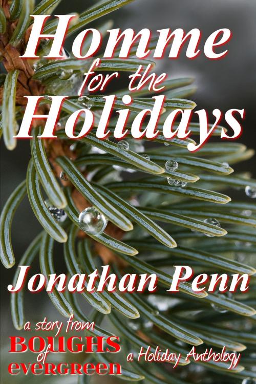 Cover of the book Homme for the Holidays by Jonathan Penn, Beaten Track Publishing