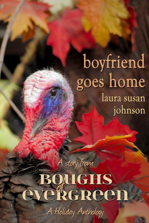 Cover of the book Boyfriend Goes Home by Laura Susan Johnson, Beaten Track Publishing