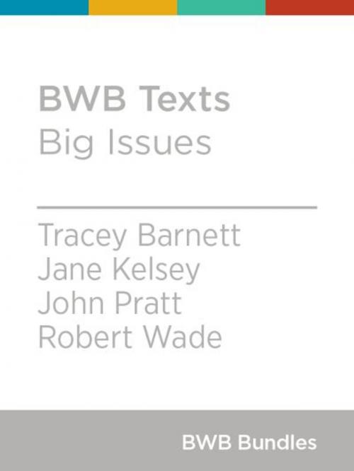 Cover of the book BWB Texts: Big Issues by Tracey Barnett, Jane Kelsey, John Pratt, Robert Wade, Bridget Williams Books