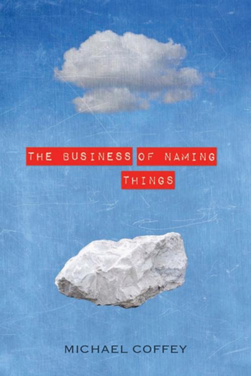 Cover of the book The Business of Naming Things by Michael Coffey, Bellevue Literary Press
