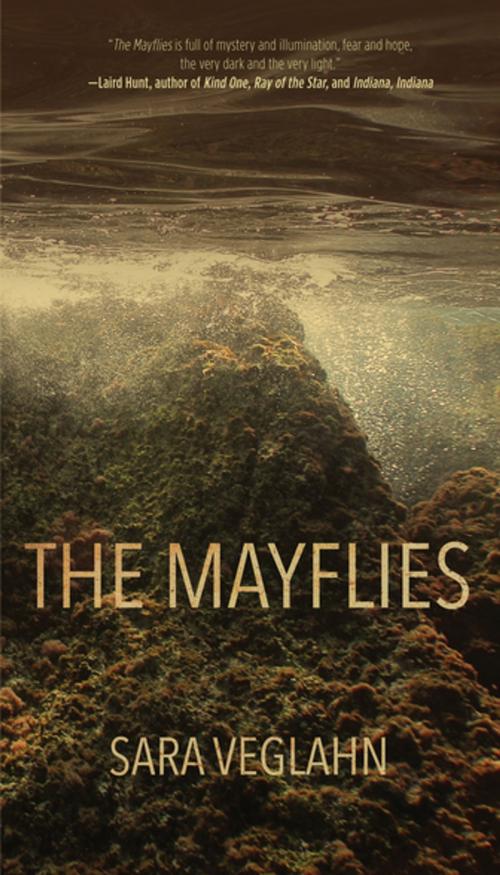 Cover of the book The Mayflies by Sara Veglahn, Dzanc Books