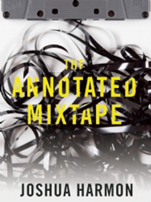 Cover of the book The Annotated Mixtape by Joshua Harmon, Dzanc Books