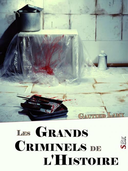 Cover of the book Les Grands Criminels de l'Histoire by Gautier Lamy, StoriaEbooks