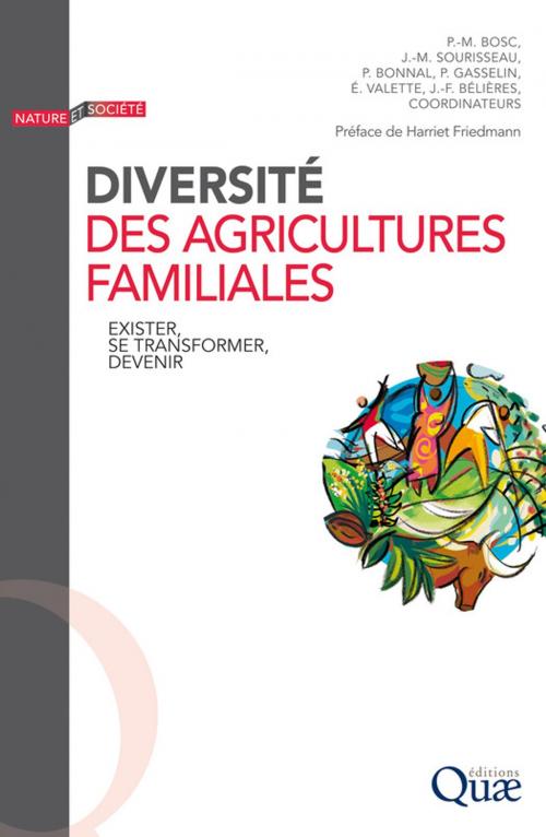 Cover of the book Diversité des agricultures familiales by Jean-Michel Sourisseau, Jean-François Bélières, Pierre-Marie Bosc, Philippe Bonnal, Pierre Gasselin, Elodie Valette, Quae