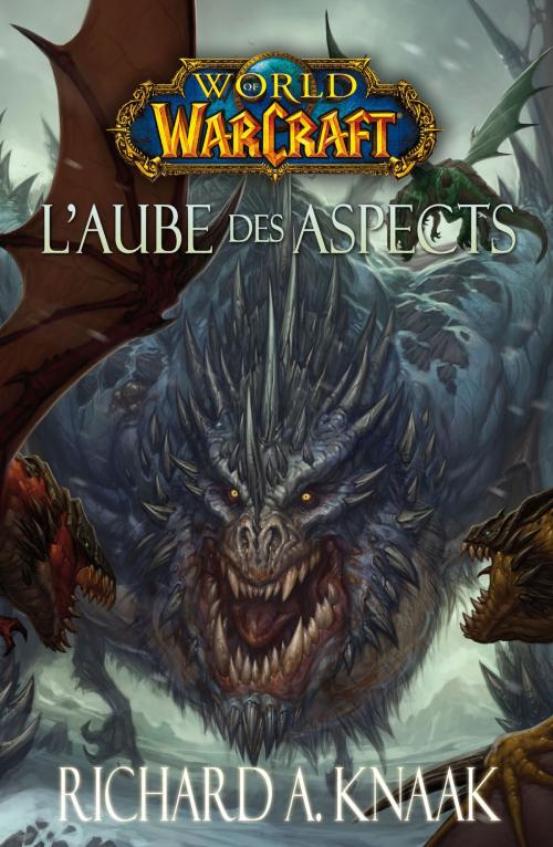 Cover of the book World of Warcraft - L'aube des aspects by Richard A Knaak, Panini