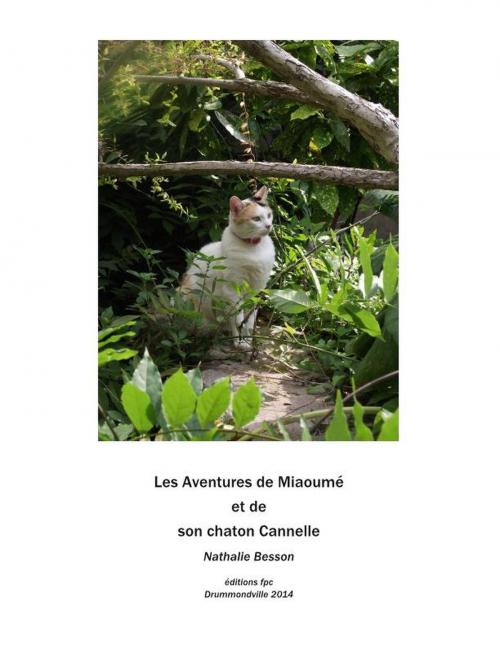 Cover of the book Miaoumé, une chatte, et son chaton Cannelle by Nathalie Besson, ÉDITIONS FPC