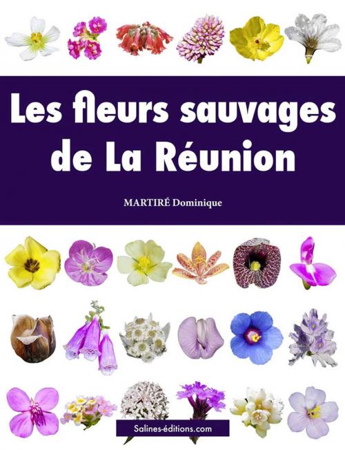 Cover of the book Les fleurs sauvages de La Réunion by Dominique Martiré, Salines éditions