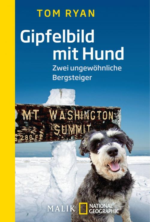 Cover of the book Gipfelbild mit Hund by Tom Ryan, Piper ebooks