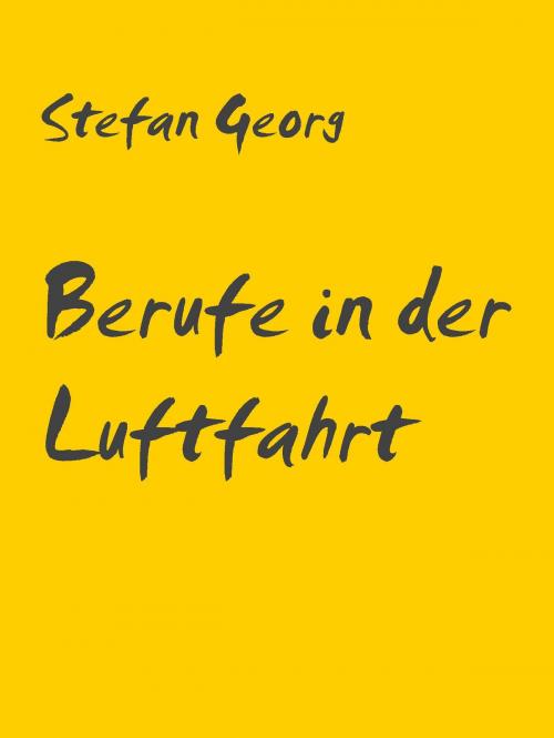 Cover of the book Berufe in der Luftfahrt by , Books on Demand