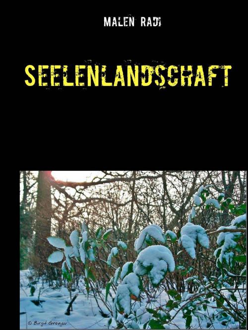 Cover of the book Seelenlandschaft by Malen Radi, Books on Demand