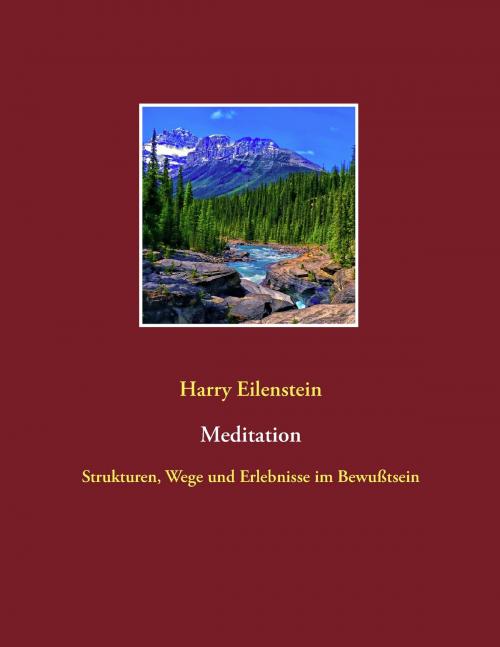 Cover of the book Meditation by Harry Eilenstein, Books on Demand