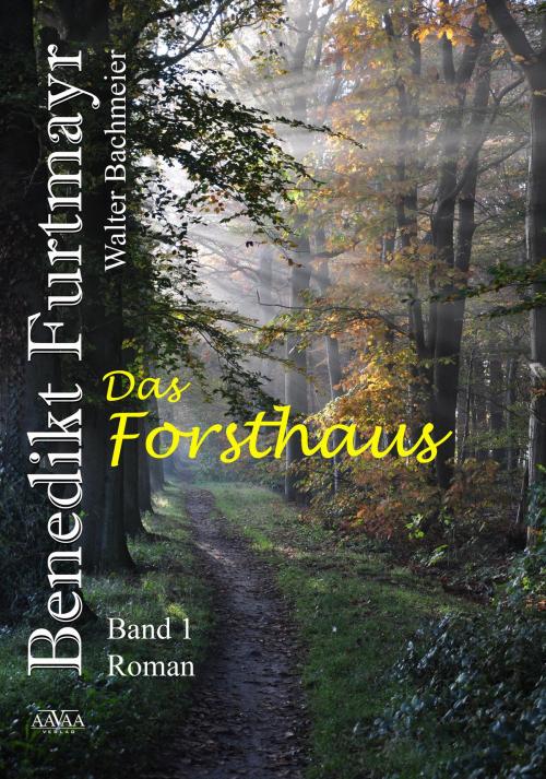 Cover of the book Benedikt Furtmayr (1) by Walter Bachmeier, AAVAA Verlag